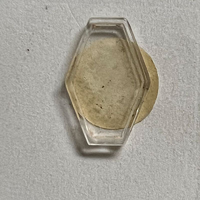 HAMILTON - Fancy 15.3mm x 10.2mm