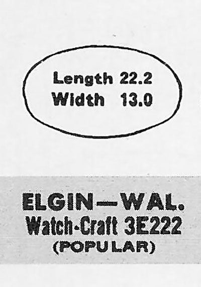 ELGIN & WALTHAM - Oval 22.2mm x 13.0mm
