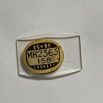 ELGIN - Hexagon 23.6mm x 15.8mm