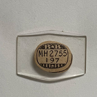 ELGIN - Hexagon 27.5mm x 19.7mm