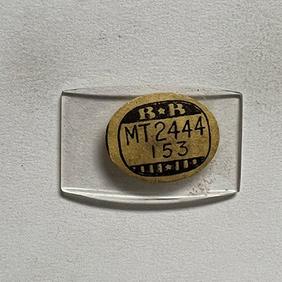 ELGIN - Tonneau 24.4mm x 15.3mm