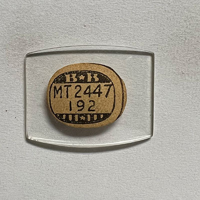 ELGIN - Tonneau 24.4mm x 19.2mm