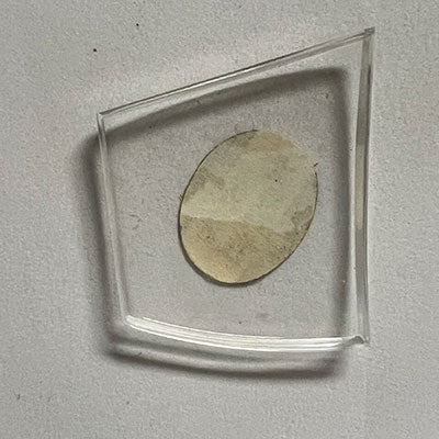 HAMILTON : FLIGHT II - Fancy 25.4mm x 23.0mm