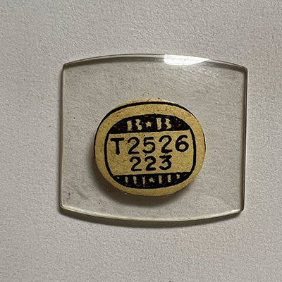 HAMILTON : GLENN CURTIS - Tonneau 25.2mm x 22.3mm