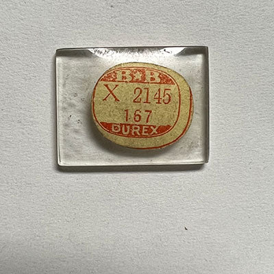 LONGINES : ESQUIRE & JUBILEE 17 - Rectangle 21.4mm x 16.7mm DUREX