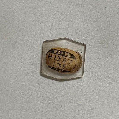 WALTHAM - Hexagon 13.8mm x 13.5mm
