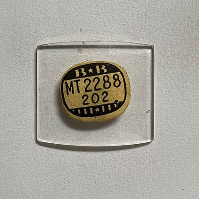 WALTHAM - Tonneau 22.8mm x 20.2mm