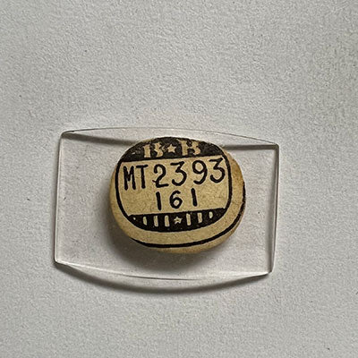 WALTHAM : MUNROE - Tonneau 23.9mm x 16.1mm