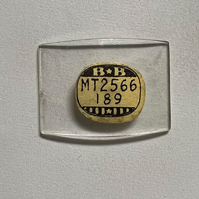 WALTHAM - Tonneau 25.6mm x 18.9mm
