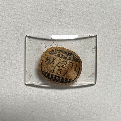 WALTHAM - Rectangle 22.9mm x 15.7mm