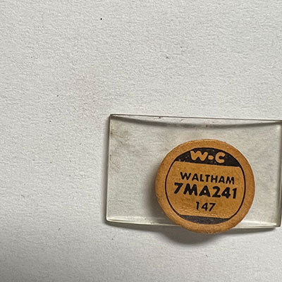 WALTHAM - Rectangle 24.1mm x 14.7mm