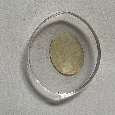 WITTNAUER - Fancy 27.6mm x 23.2mm