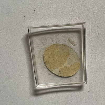 WITTNAUER - Fancy 21.9mm x 20.4mm