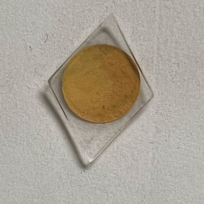WITTNAUER - Fancy 18.3mm x 12.8mm
