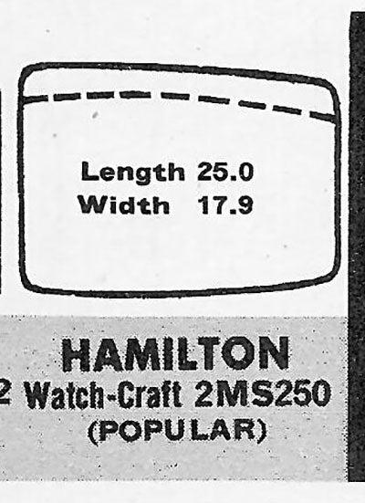 HAMILTON - Fancy 25.0mm x 17.9mm