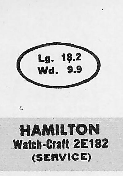 HAMILTON - Oval 18.2mm x 9.9mm