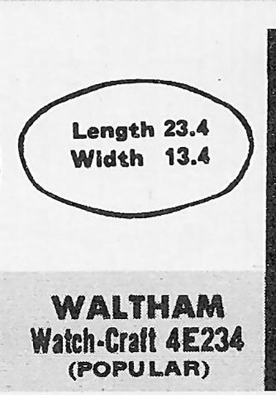WALTHAM - Oval 23.4mm x 13.4mm